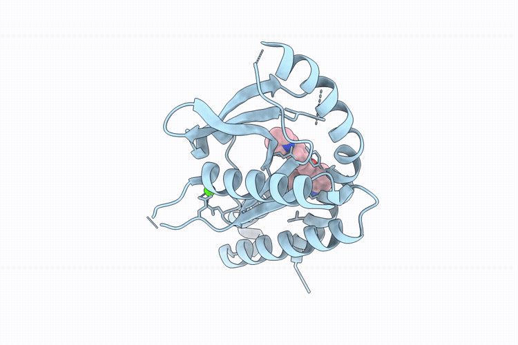 9VT0 image