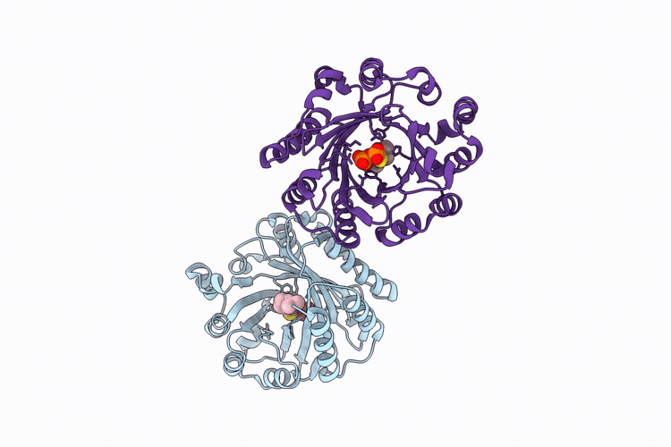 9VTA image