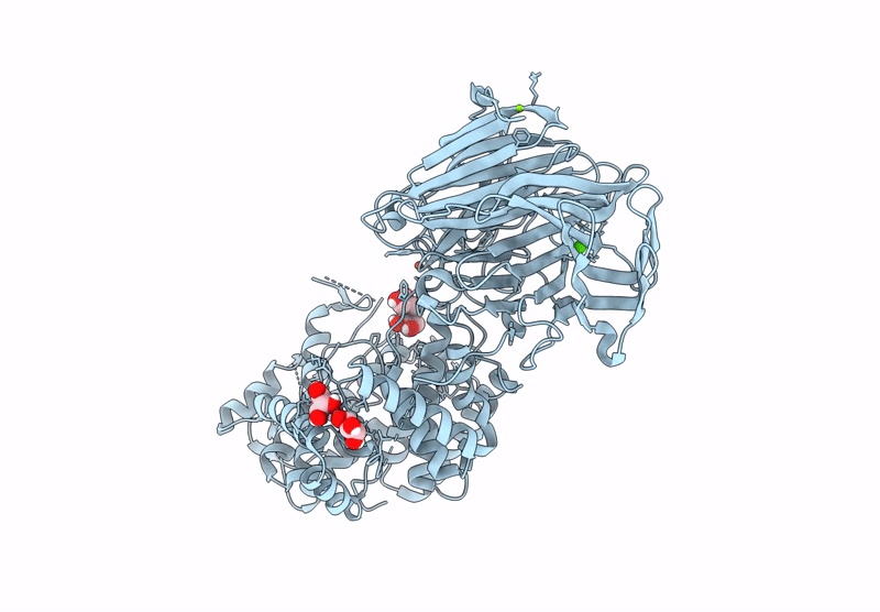 9VTK image