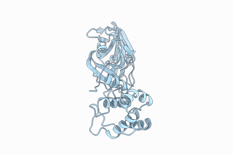 9VTL image