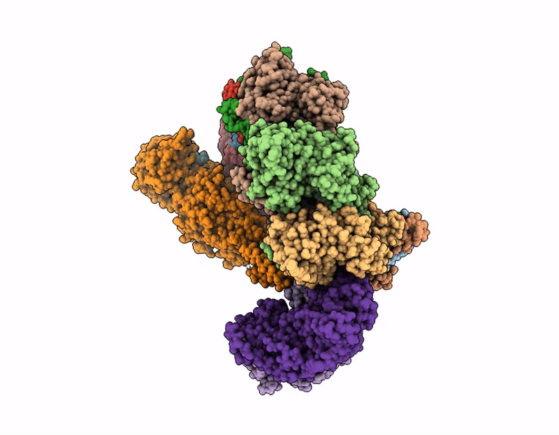 9VTP image