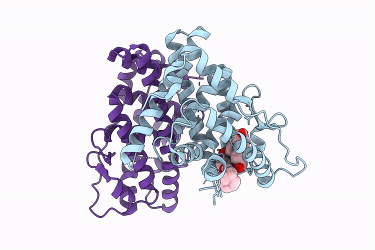 9VTU image