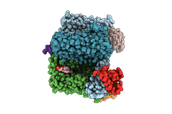 9VUA image