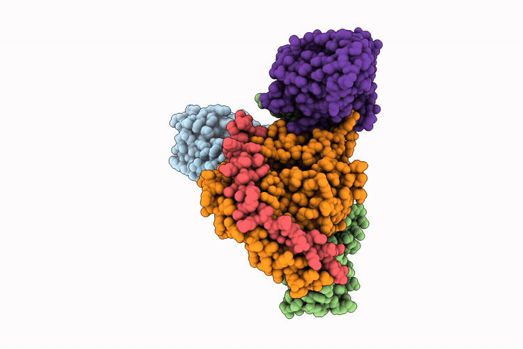 9VUS image