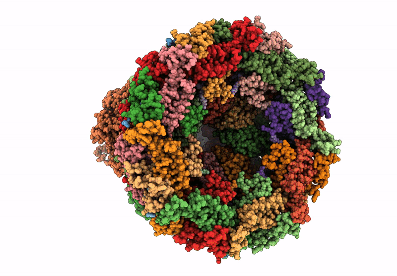 9VVP image