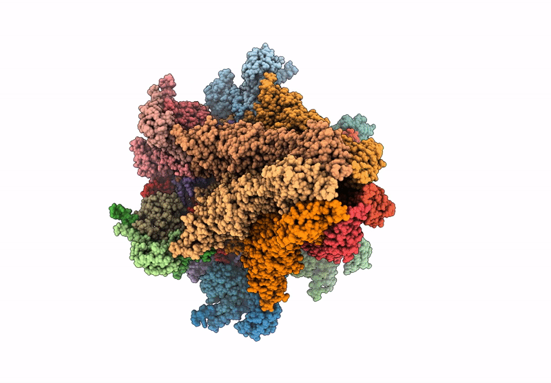 9VVR image