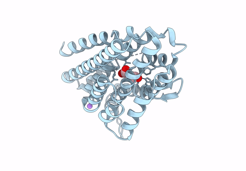 9VWB image