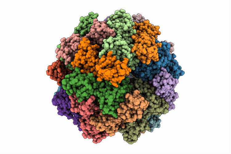 9VWI image