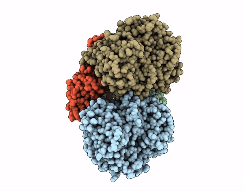 9VX1 image