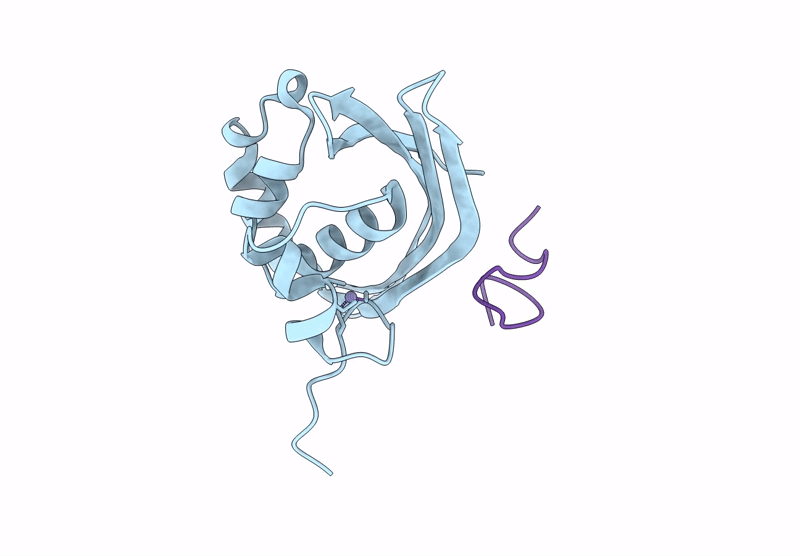 9VXG image
