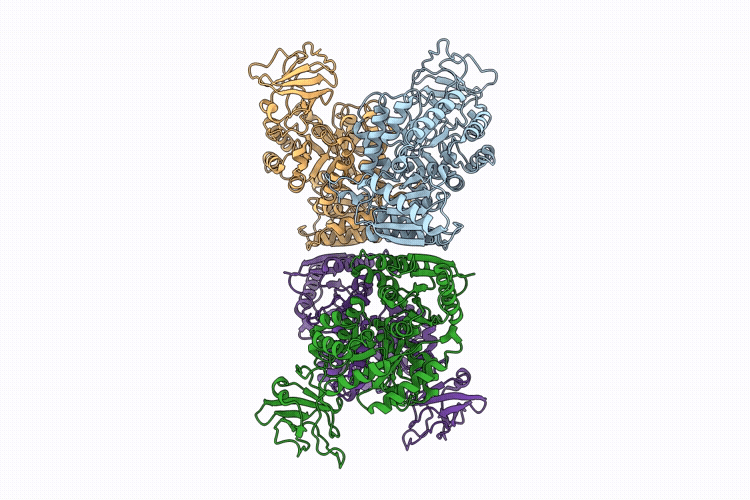 9VXP image