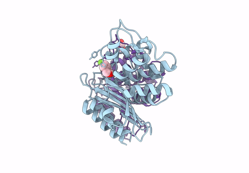 9VXS image