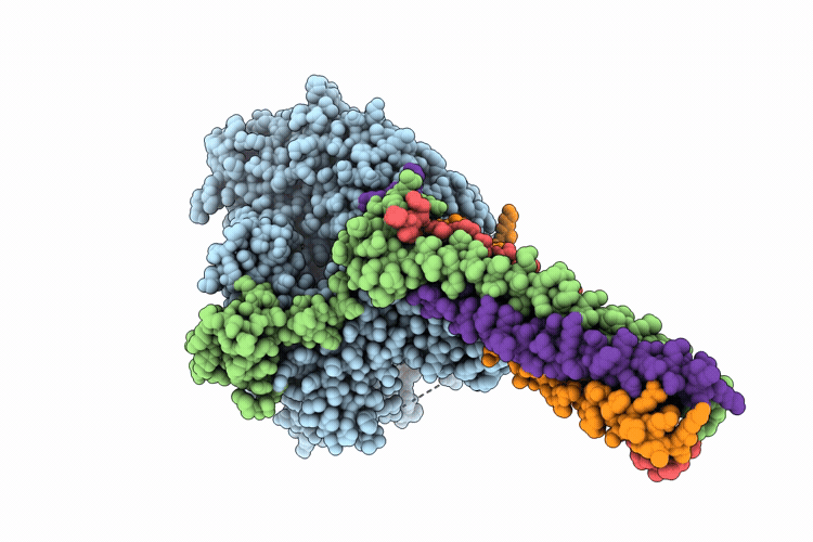 9VXV image