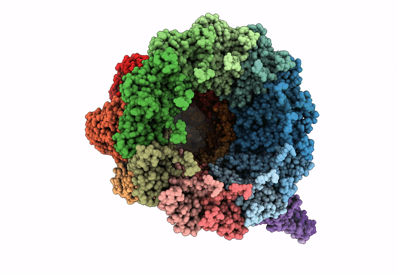 9VYG image
