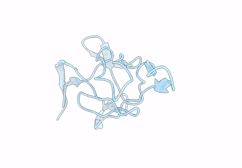 9VYI image