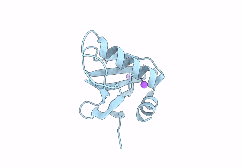 9VYW image
