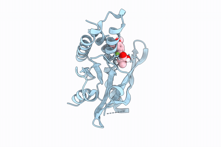 9VZG image