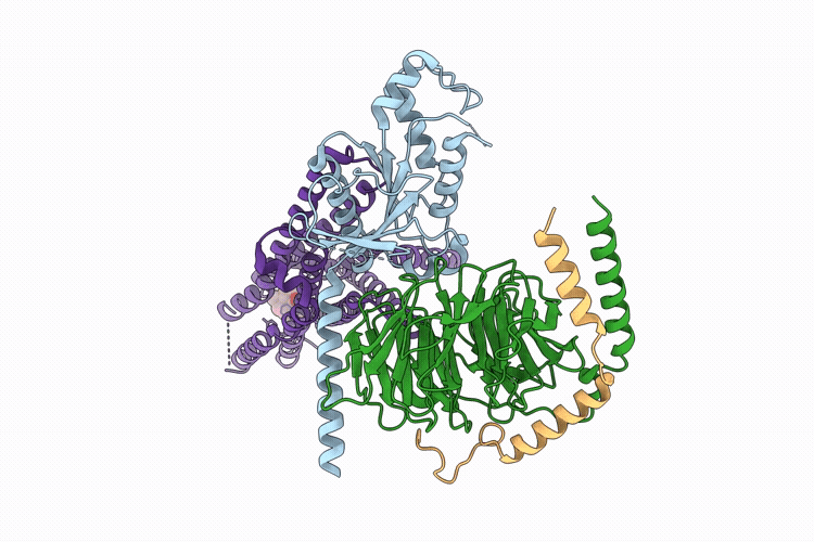 9W0S image