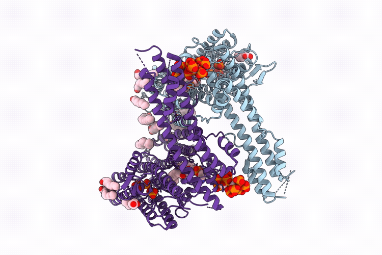 9W1B image