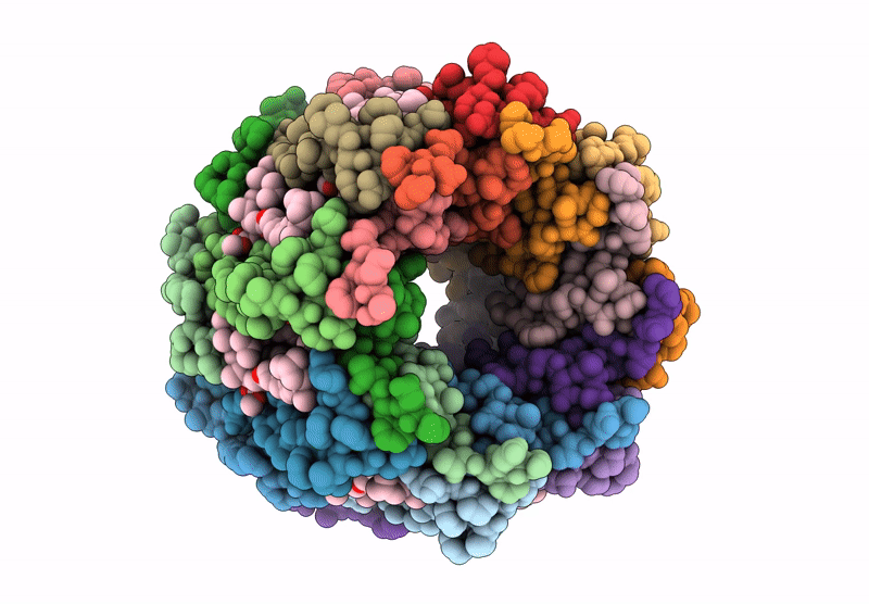 9W1C image