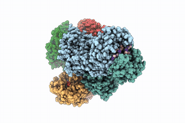 9W1F image