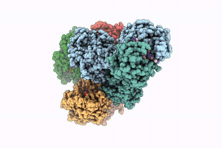 9W1G image