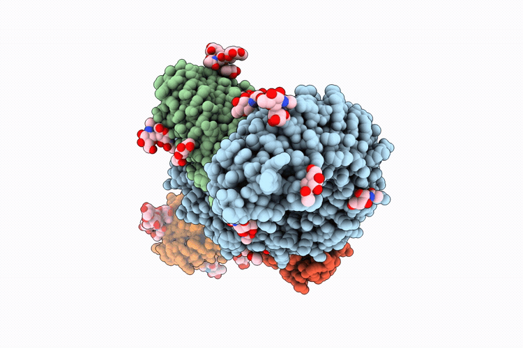 9W1S image