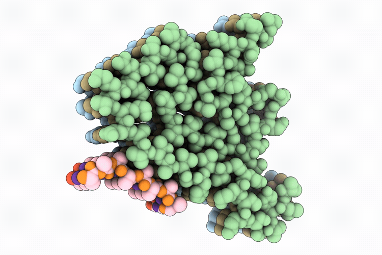 9W1T image