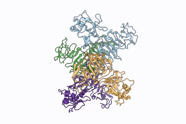 9W1X image