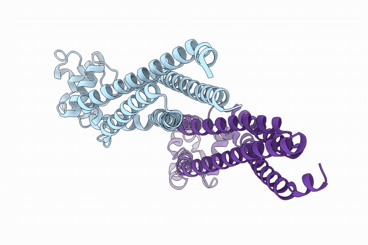 9W2B image