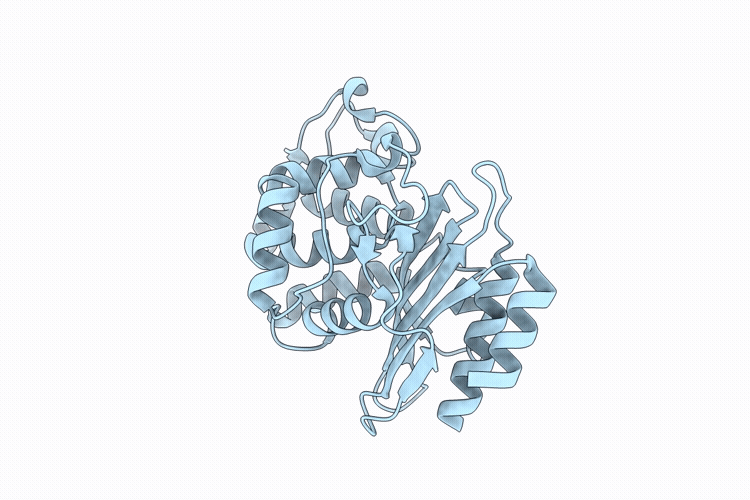 9W2E image