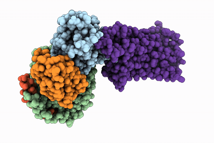 9W2I image