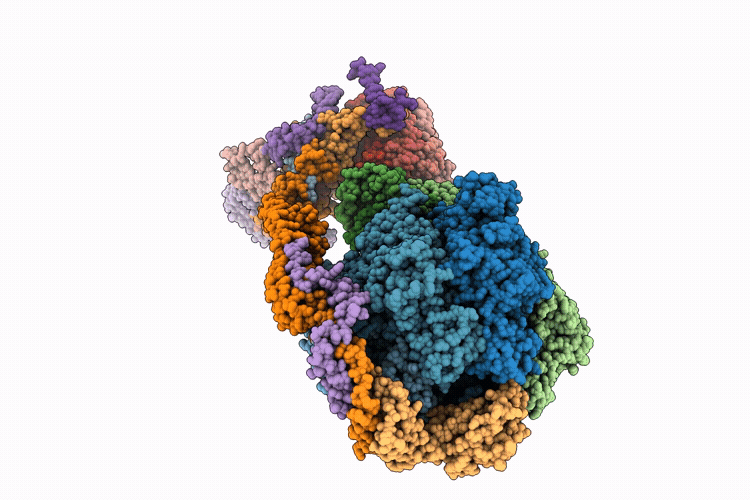 9W2S image