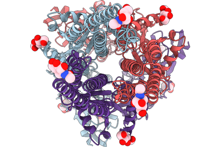 9W4C image