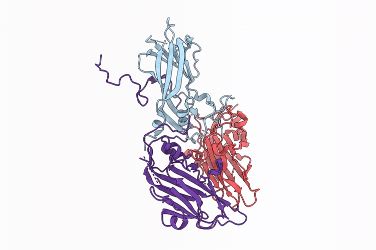 9W4I image