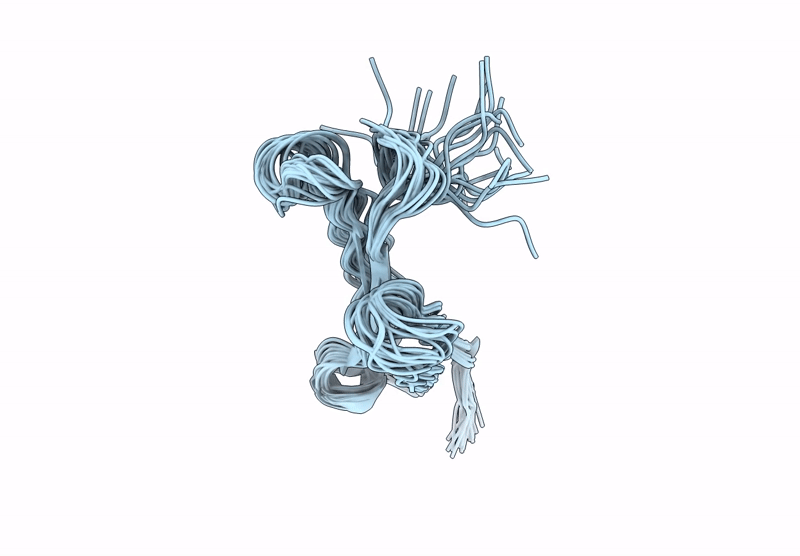 9W4X image