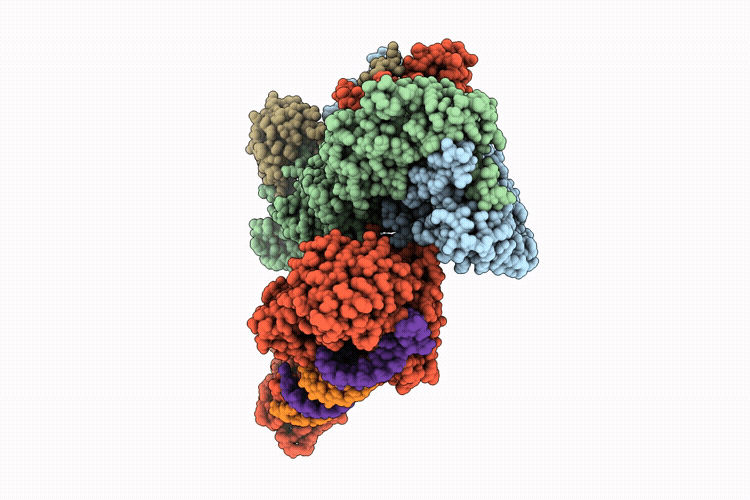 9W5I image