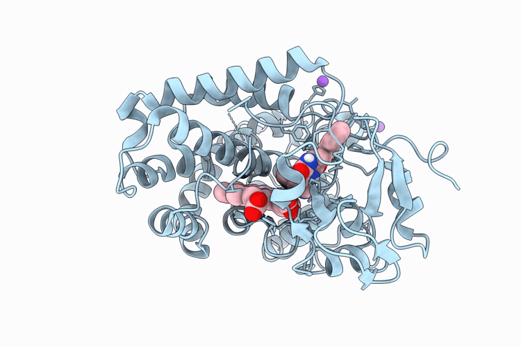 9W5T image