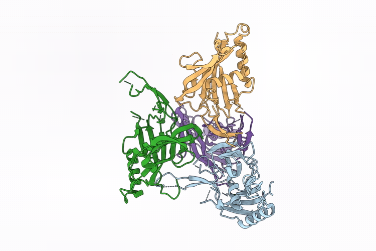 9W6C image