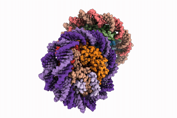 9W6I image