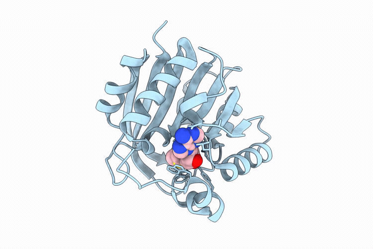 9W6X image