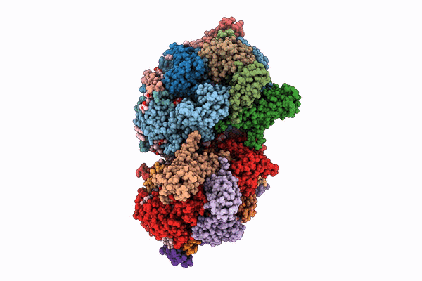 9W7D image