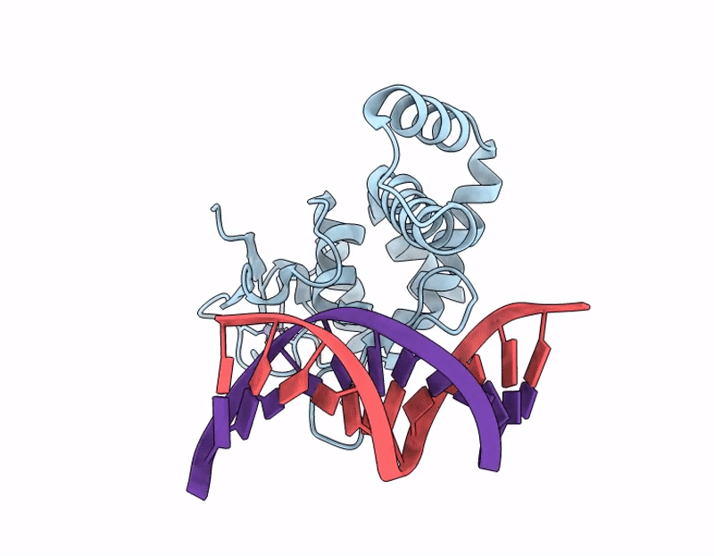 9W7S image