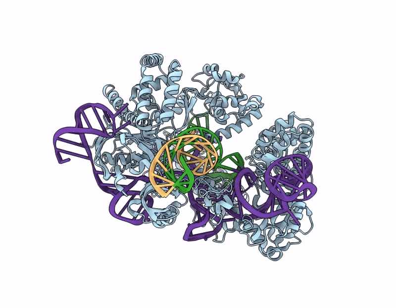 9W7V image
