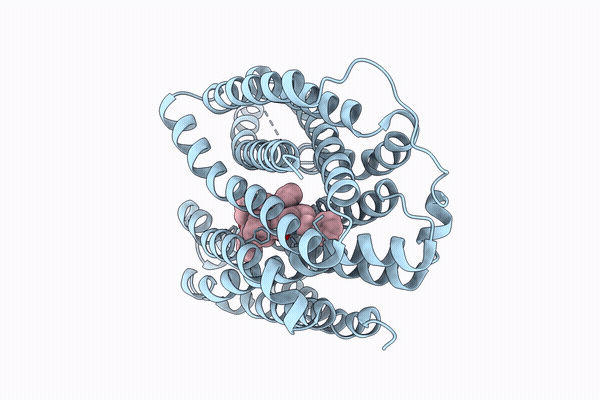 9W8B image