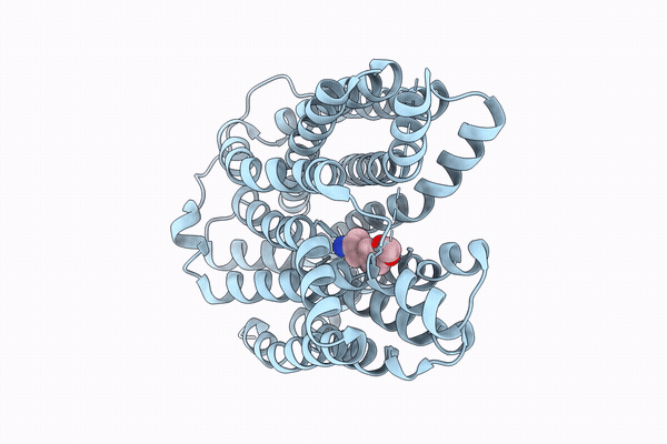 9W8C image