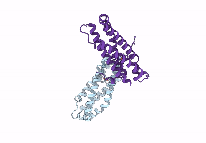 9W8G image