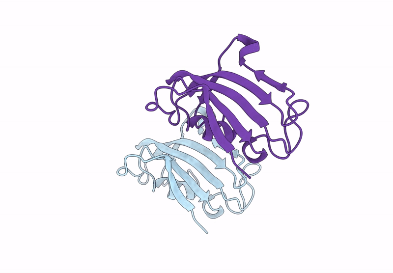 9W8I image