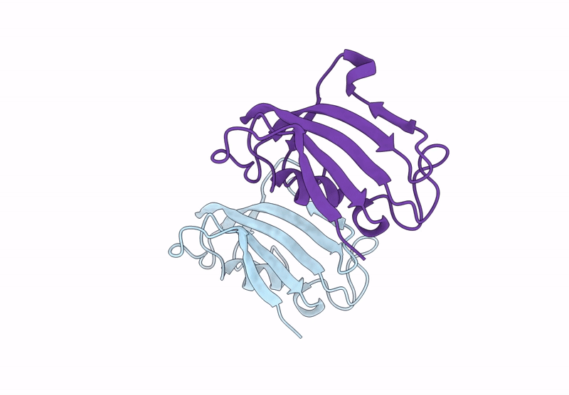 9W8P image