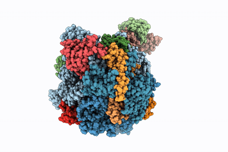 9W8T image